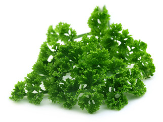 Fresh parsley over white background