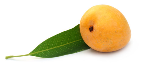 Fresh Mango with green leaf