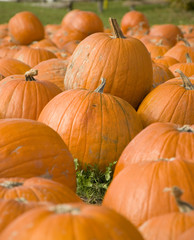 stacked pumpkins