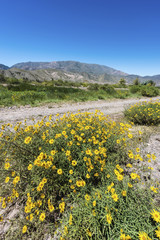 Fototapeta premium Quebrada de Humahuaca in Jujuy, Argentina.