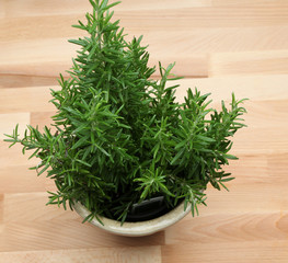 Rosmarinpflanze auf dem Holztisch