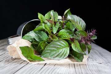 Fresh basil leaves