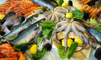 Produits de la mer frais 