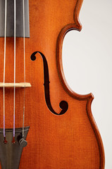 violino strumento musicale