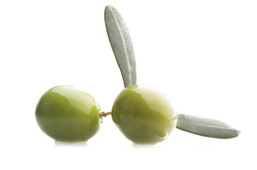Two green olives on branch with leaves  