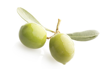 Two green olives on branch with leaves  