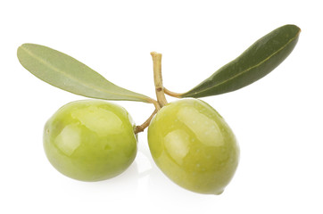 Two green olives on branch with leaves  