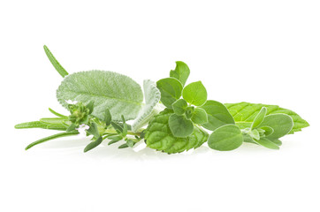 Mix of Spice leaves close up on white