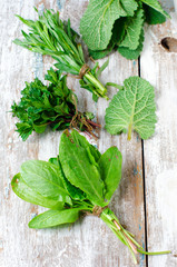 Fresh herbs ( sage, tarragon , mint and spinach )