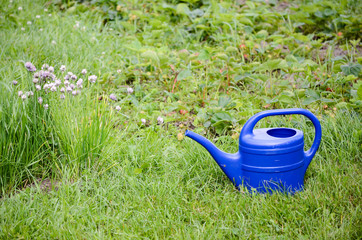 watering can