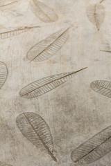 Concrete Walkway with leaves pattern