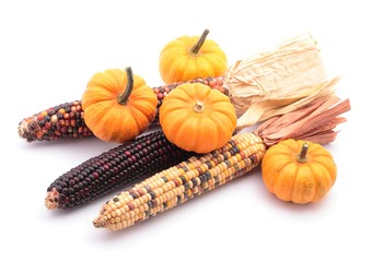 Indian corns and little pumpkins on white background
