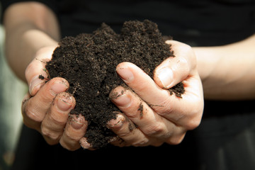 hands with black soil