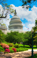 United States Capitol building in Washington, DC - 53888551