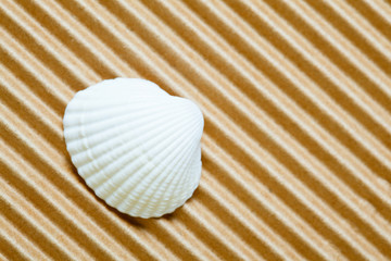 Seashell on wavy background