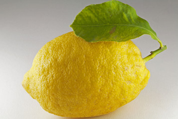 Limone con foglia