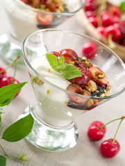 Yoghurt dessert