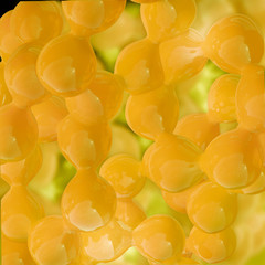 Omega 3 fette - 3D Render