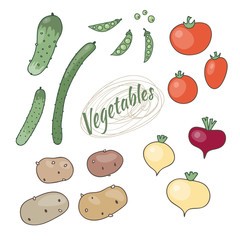Set of vegetables