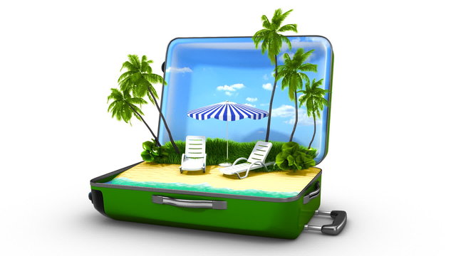 Opening green bag with animated palms and water