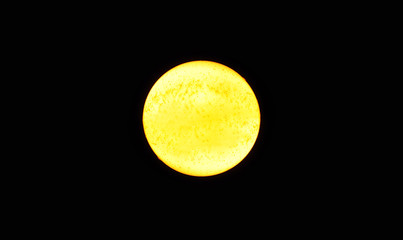 Grande stella gialla come il sole, su fondo nero