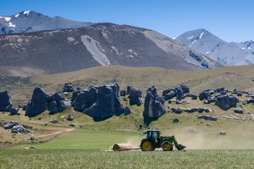 Foto op Canvas Farming in New Zealand © FiledIMAGE