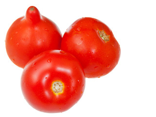 red fresh tomatoes