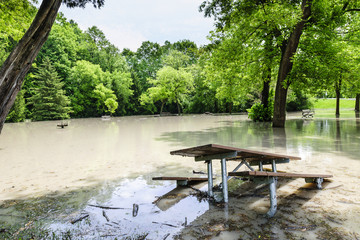 Flood in park