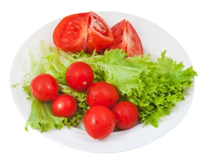 green lettuce and red tomatoes
