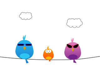 Bird family with sunglasses