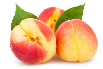 apricots three leaves
