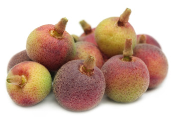 Grewia asiatica or Falsa