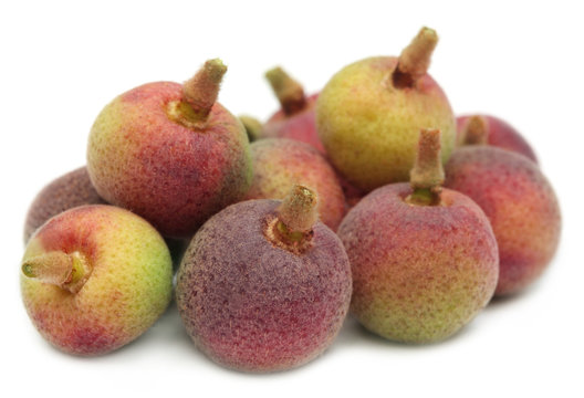 Grewia asiatica or Falsa