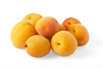 apricots fruit