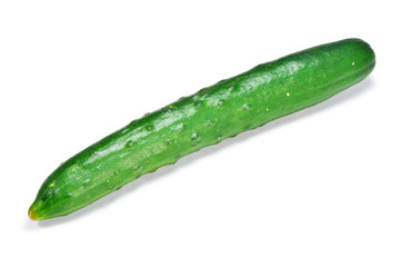 cucumber