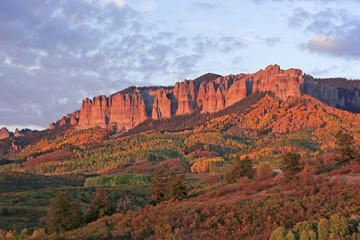 Cimarron Ridge, Uncompahgre National Forest, Gunnison county, Co
