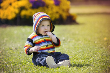 Boy in knitted cardigan in the park.