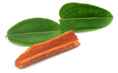 Cinnamon barks with leaves