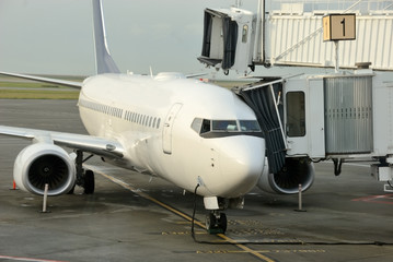 Fototapeta na wymiar Passenger Jet