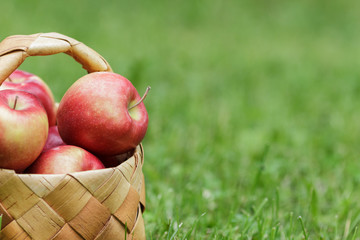 wicker basket full of gala apples