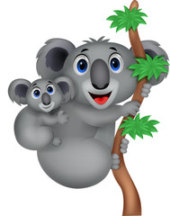 Fototapeta premium Mother and baby koala