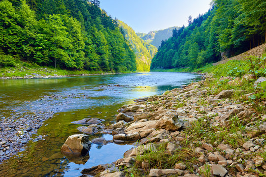 Stones And Rocks In The Morning In The Dunajec River Gorge