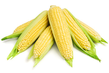 An ear of corn isolated on a white background