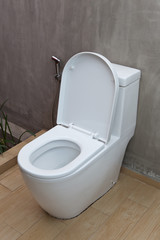 Fush Toilet and Sprayer