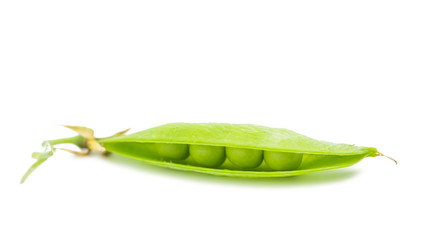 green pea pod