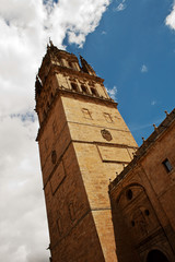 Fototapeta na wymiar Tower of cathedral of Salamanca