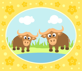 Safari background card with buffaloes