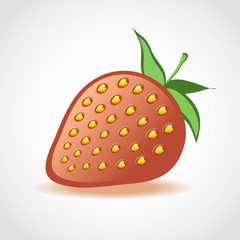 Vector illustration of strawberries