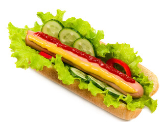 Tasty hot dog, food