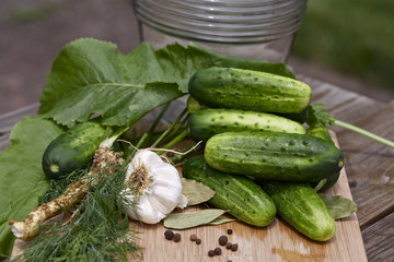 Cucumbers and spices, homemade preserves